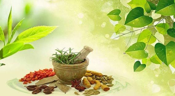 Best Private BAMS Ayurvedic College in UP