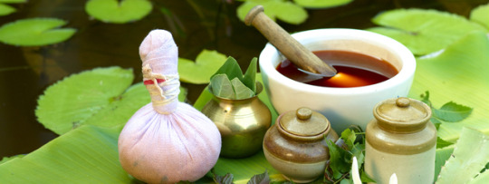 BAMS Ayurvedic Colleges in Rajasthan