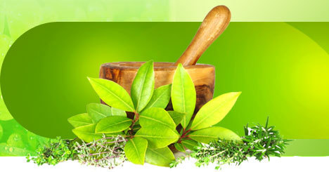 best Ayurvedic Hospital in Haryana